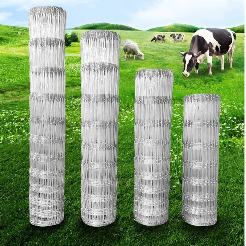 Rabbit Cage Wire - 1X50Meter 10-25Cm Celah Ternak Anti Sapi