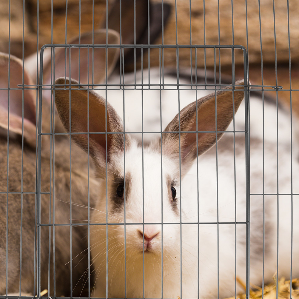 2Pcs Lembaran Pagar Hewan Peli - Rabbit Cage Wire ulasan dan harga