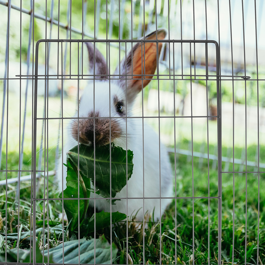 2Pcs Lembaran Pagar Hewan Peli - Rabbit Cage Wire ulasan dan harga